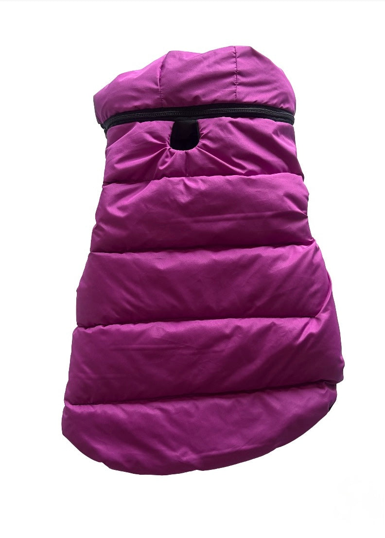 Chaleco impermeable para perro