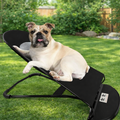 Cama Reclinable para Mascotas 🐶💤
