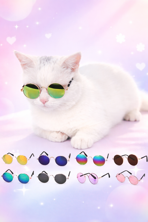 Gafas para Mascotas | Colores Variados